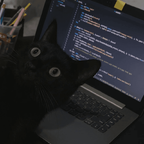 Pongsakorn Thipayanate - Senior Full-Stack Developer and TypeScript Expert based in Thailand